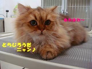 DSC04014.jpg