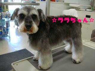 DSC04017.jpg