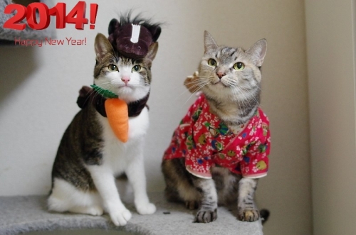 2014年!あけましておめでとうございます!01