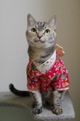 2014年!あけましておめでとうございます!02