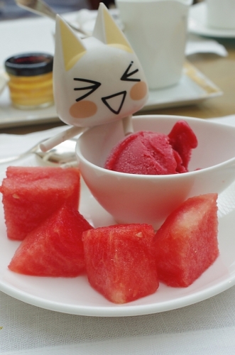 セレブ気分味わうなら、やはりココが良いという結果に!シンガポール4日目中編22