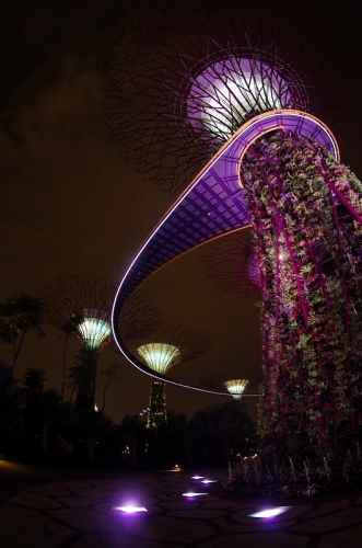 幻想的な巨大ツリーを見に行こう！シンガポール5日目後編ニャ♪16