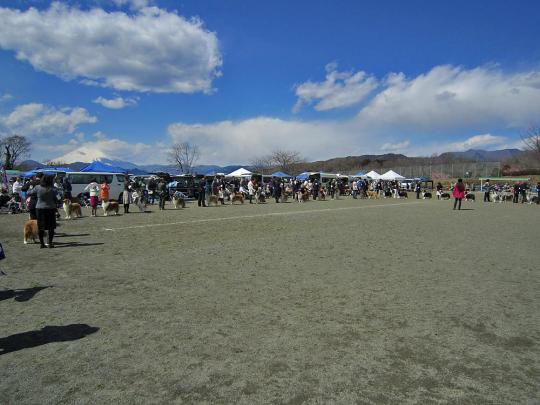 富士山と一緒に