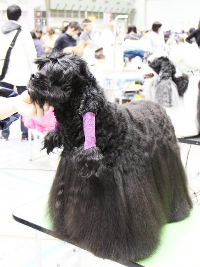 おしゃれ中