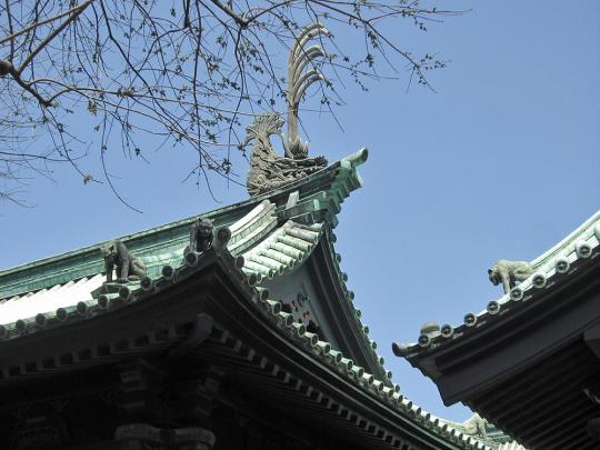屋根の上の動物