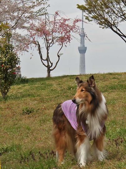 新しい風景
