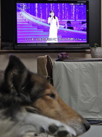 「さらってほしい」といわれても…