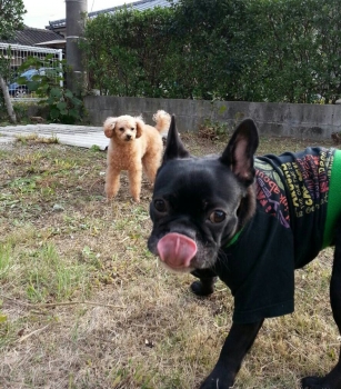 20131130215506836.jpg