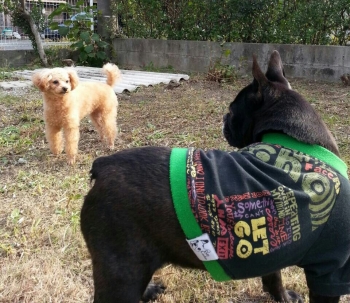 201311302155082be.jpg