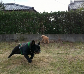 20131130215509265.jpg