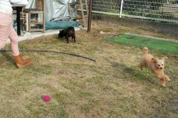 201311302155105bb.jpg