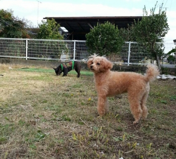 2013113021551189c.jpg