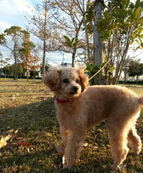 201312031929168c1.jpg