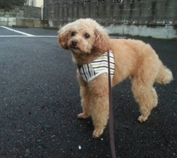 201312181807389fb.jpg