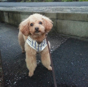 201312181807391e8.jpg