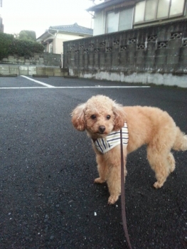 20131218180741beb.jpg