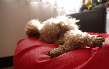 P1010251.jpg
