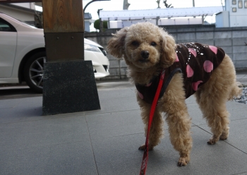 P1010272.jpg