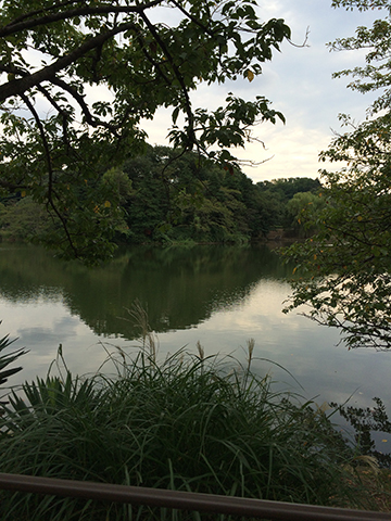 140918_11.jpg