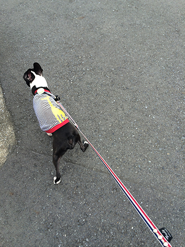 140919_01.jpg