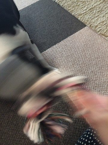 140919_10.jpg