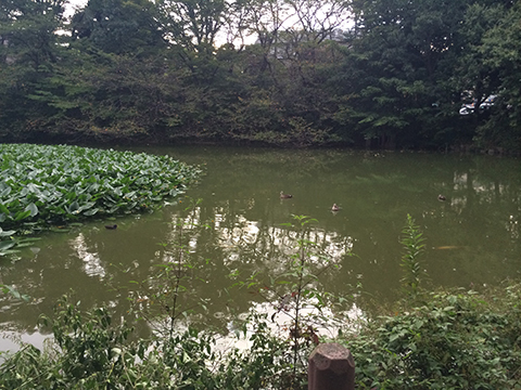 140920_03.jpg