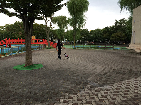 140920_09.jpg