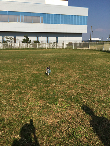 140925_03.jpg