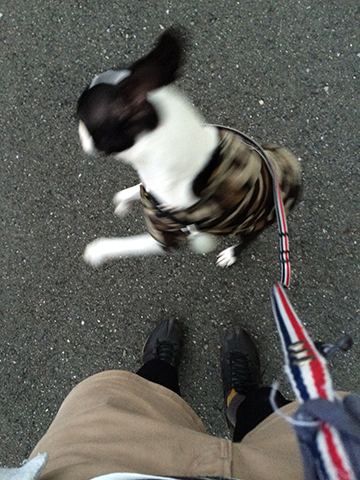 141008_08.jpg