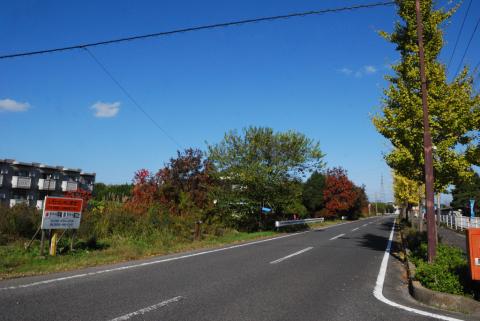 D40_03DSC_8242R.jpg