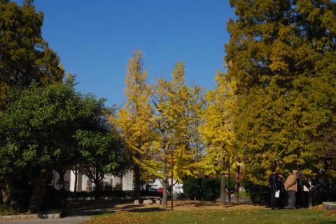 D40_03DSC_8361R.jpg