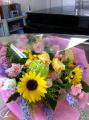 moblog_81e82143.jpg