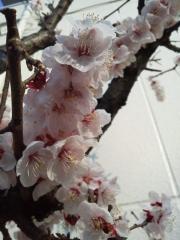 2012032801