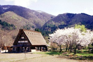 5sirakaw.JPG