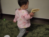 引き出し (2)