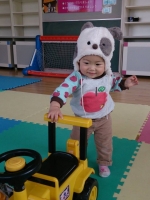 サークル (11)