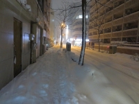 IMG_0528.jpg