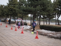 P2113043.jpg