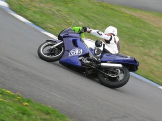 IMG_0140.jpg