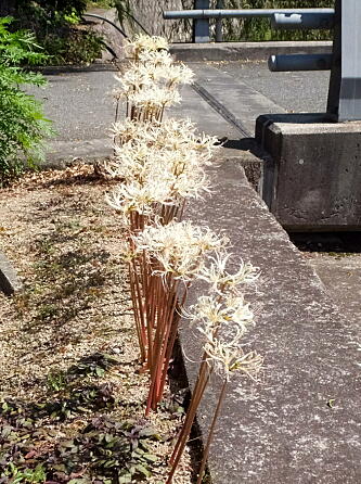 fu2014092202.jpg