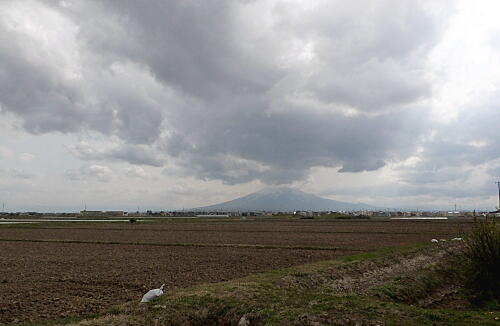 iwaki2014092603.jpg