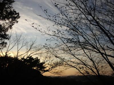 夕方