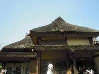 201204073.jpg