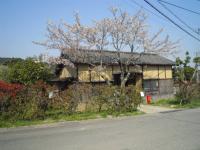 201204082.jpg