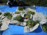 201204083.jpg