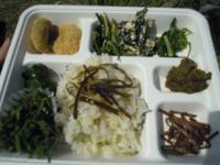 20120408b.jpg