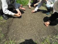 20120415b.jpg