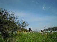 20120715.jpg