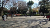DCIM0741.jpg