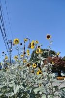 DSC_3059.jpg